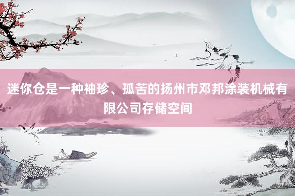 迷你仓是一种袖珍、孤苦的扬州市邓邦涂装机械有限公司存储空间