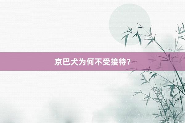 京巴犬为何不受接待？